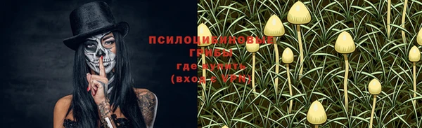 прущие крисы Арсеньев