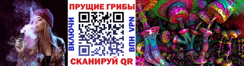ОМГ ОМГ зеркало  Калязин  Псилоцибиновые грибы мицелий  сколько стоит 